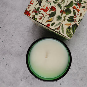 KASAMA ISLA VERDE SOY WAX CANDLE (SCENT OF THE PHILIPPINES)