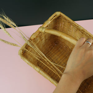 VIETNAMESE RATTAN PICNIC BASKET (FOR FARMERS MARKET, FLOWER ARRANGEMENT, FORAGING)